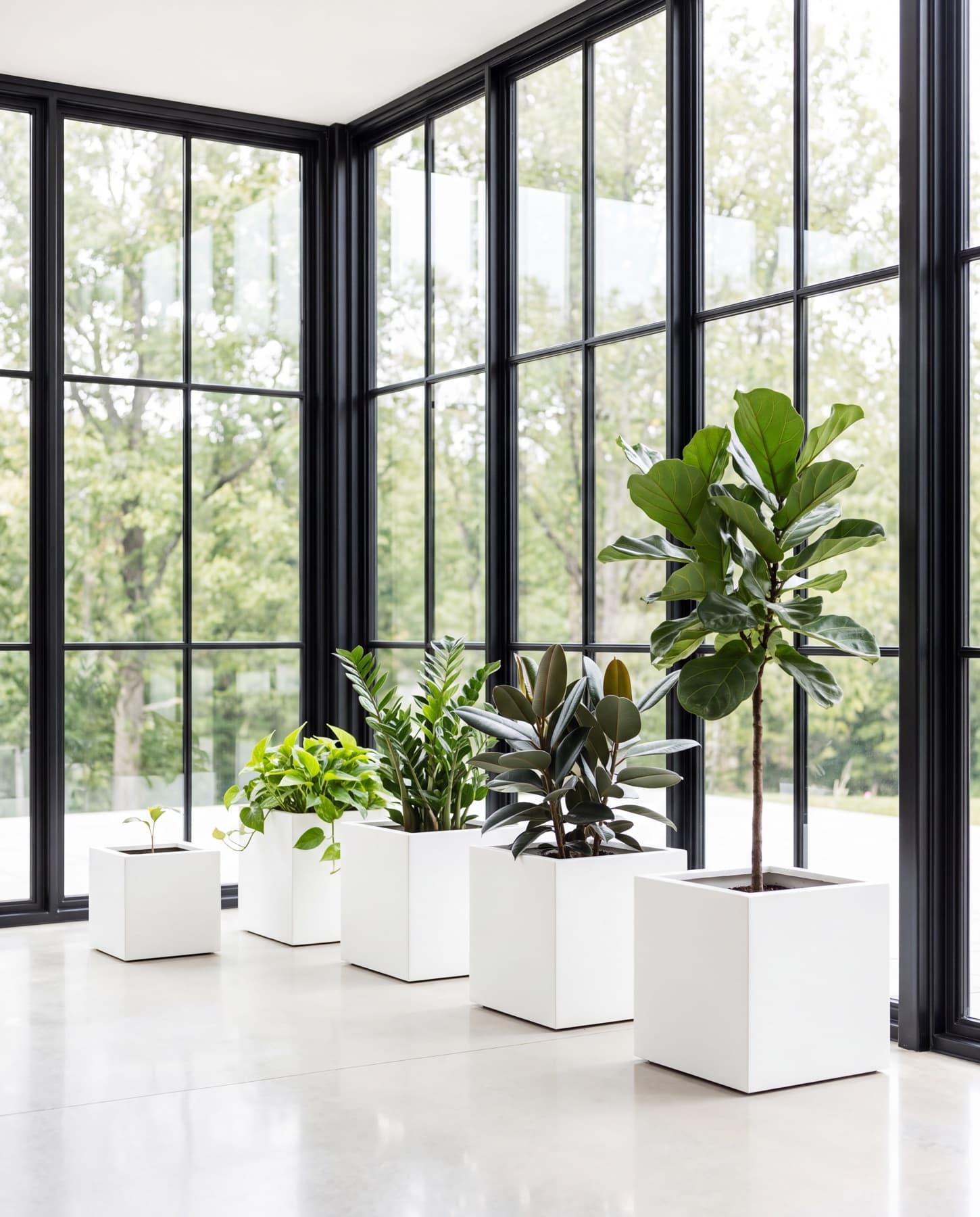 A row of plants at ascending growth stages inside a modern glass pavilion